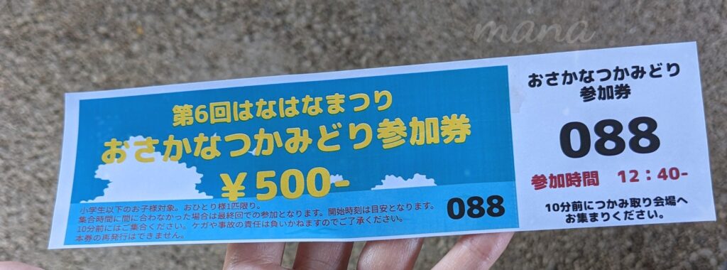 愛媛県　伊方町　南予　佐田岬はなはな　はなはな祭り　花火大会