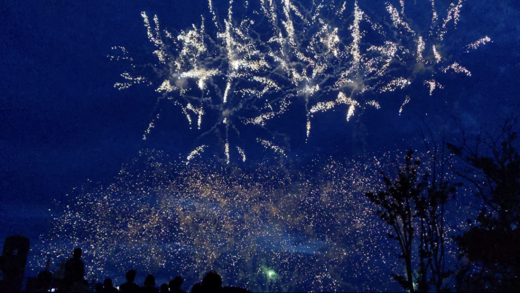 愛媛県　伊方町　南予　佐田岬はなはな　はなはな祭り　花火大会