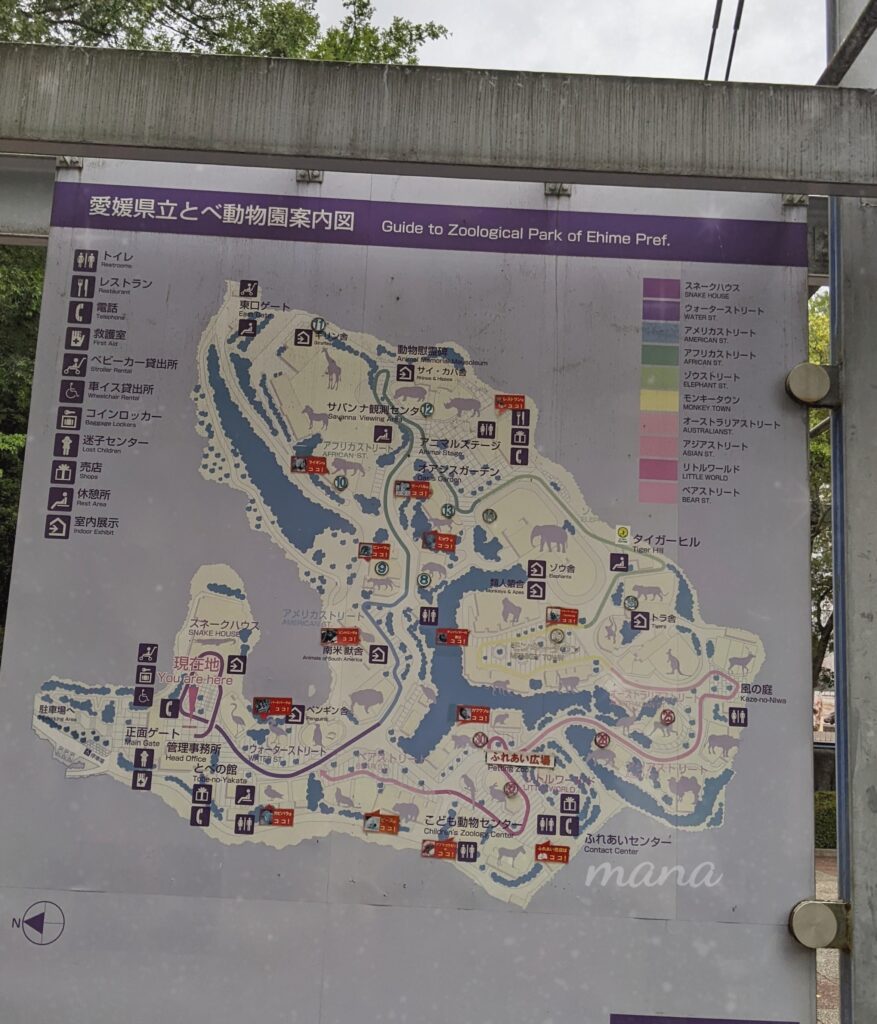 【愛媛県砥部町】とべ動物園　ライトアップされている夜の動物園（2022）
