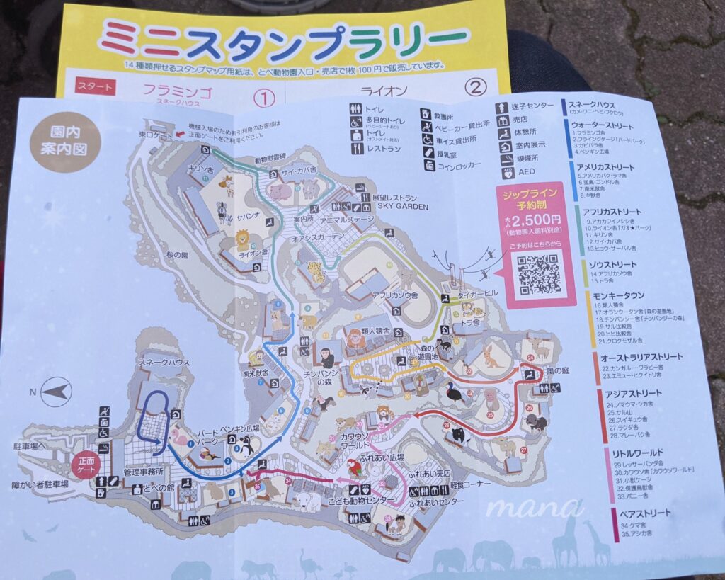 【愛媛県砥部町】とべ動物園　ライトアップされている夜の動物園（2022）