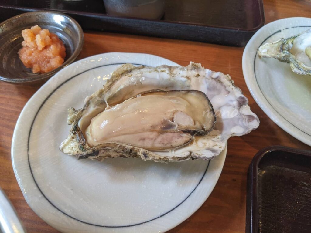 【愛媛県松山市】かき小屋　松山出張所で、牡蠣と海鮮丼を♪