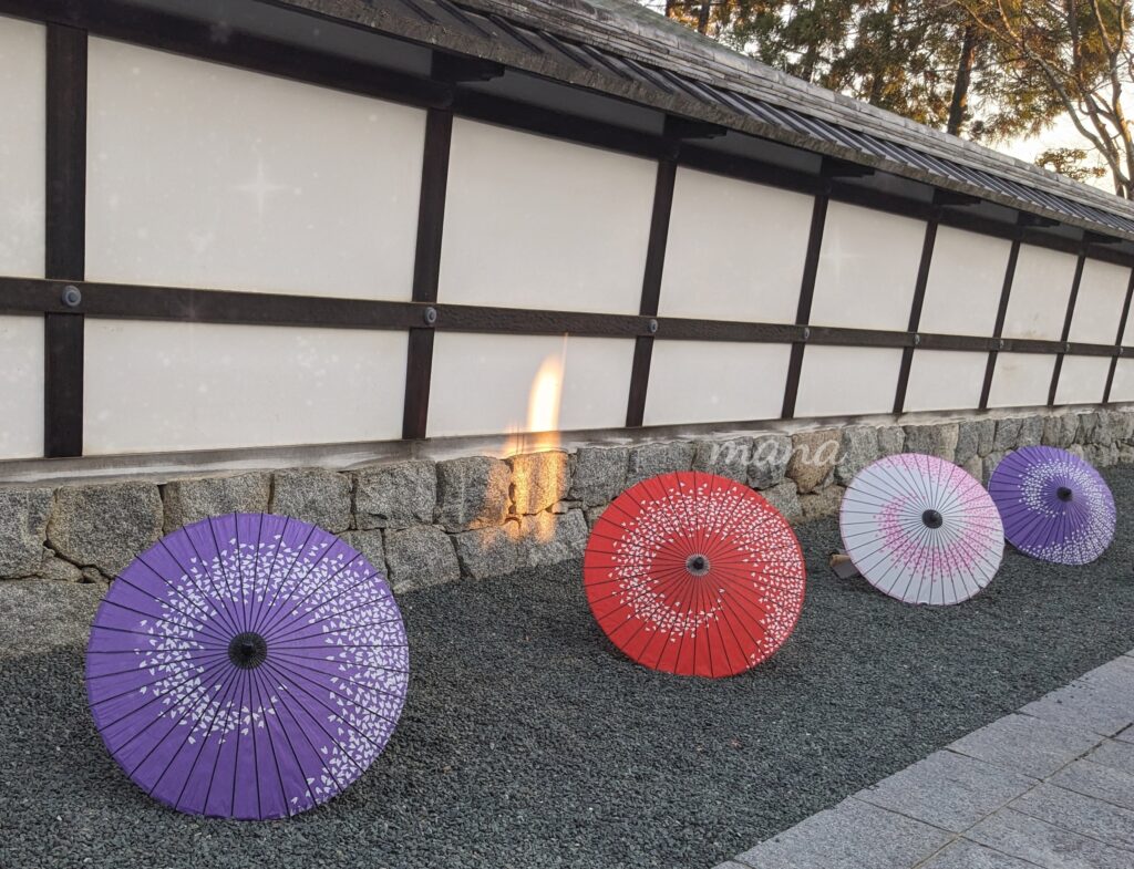 【愛媛県松山市】松山城　二之丸史跡庭園　イベント「光の庭園」ライトアップされた紅葉を楽しみました。