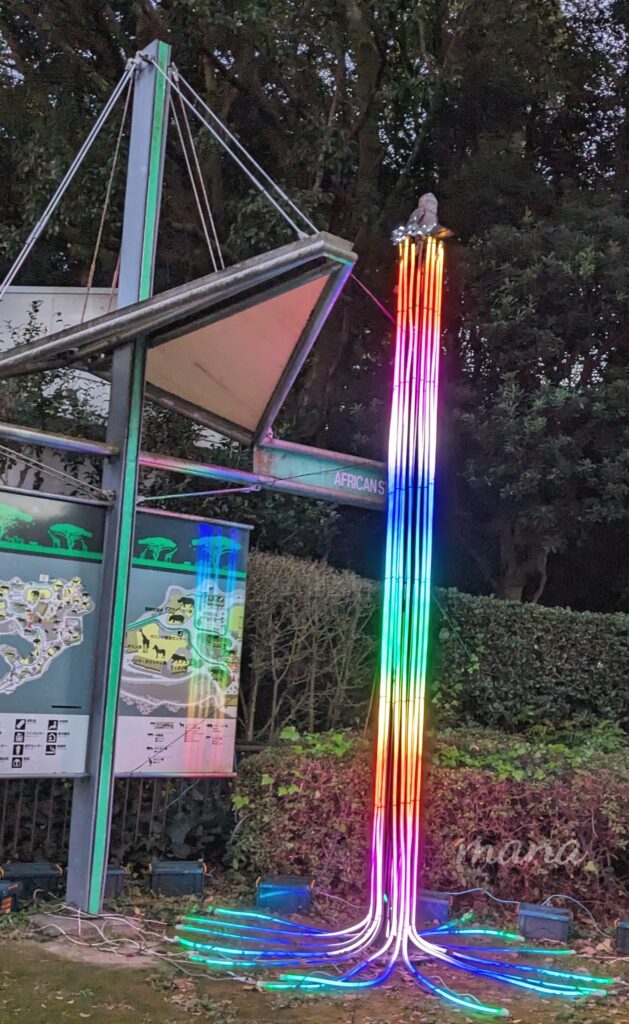 【愛媛県　砥部町】とべ動物園　ライトアップされた「とべZOO　イルミネーション」（2023）