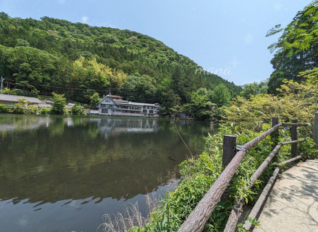 【子どもと一緒に楽しむ大分県　観光】ラクテンチ、湯の坪街道、湯布院フローラルヴィレッジ、金鱗湖、鈴よし