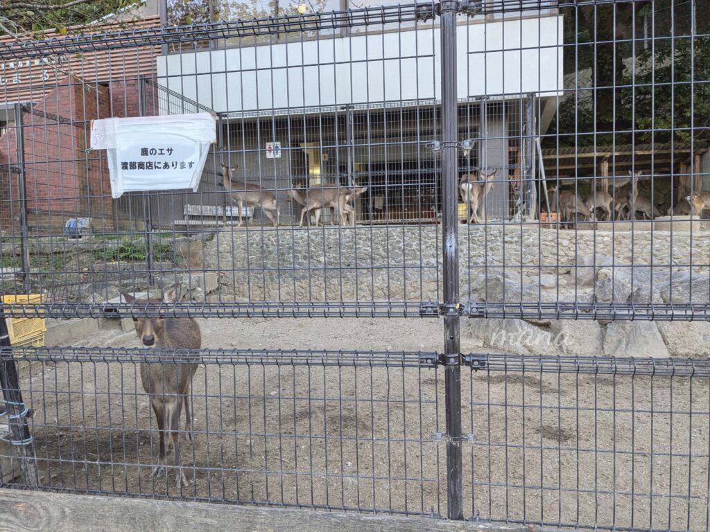 【愛媛県松山市】北条鹿島で、海を見ながらのんびりと（キャンプやバーベキューをしている人も♪）