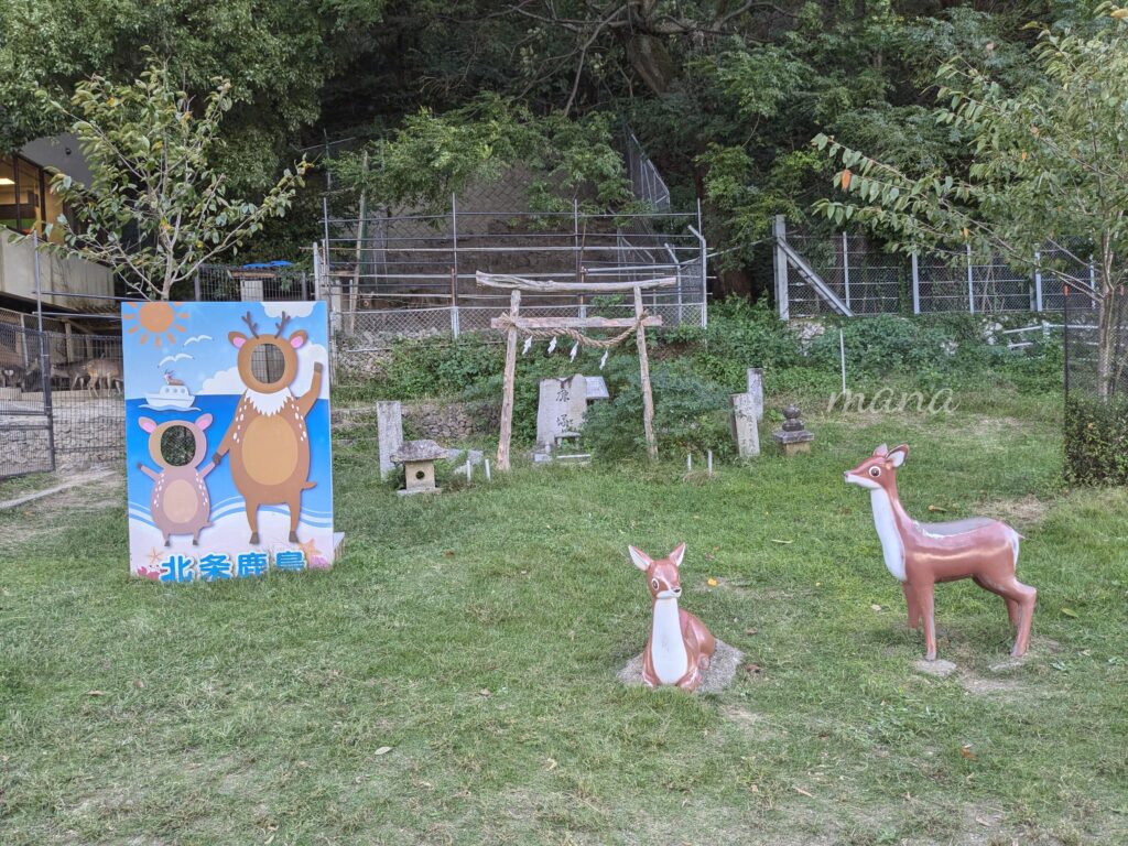 【愛媛県松山市】北条鹿島で、海を見ながらのんびりと（キャンプやバーベキューをしている人も♪）